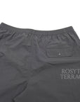 【FUTURE PRIMITIVE / IVY SHORTS (GREY) / SIZE L】