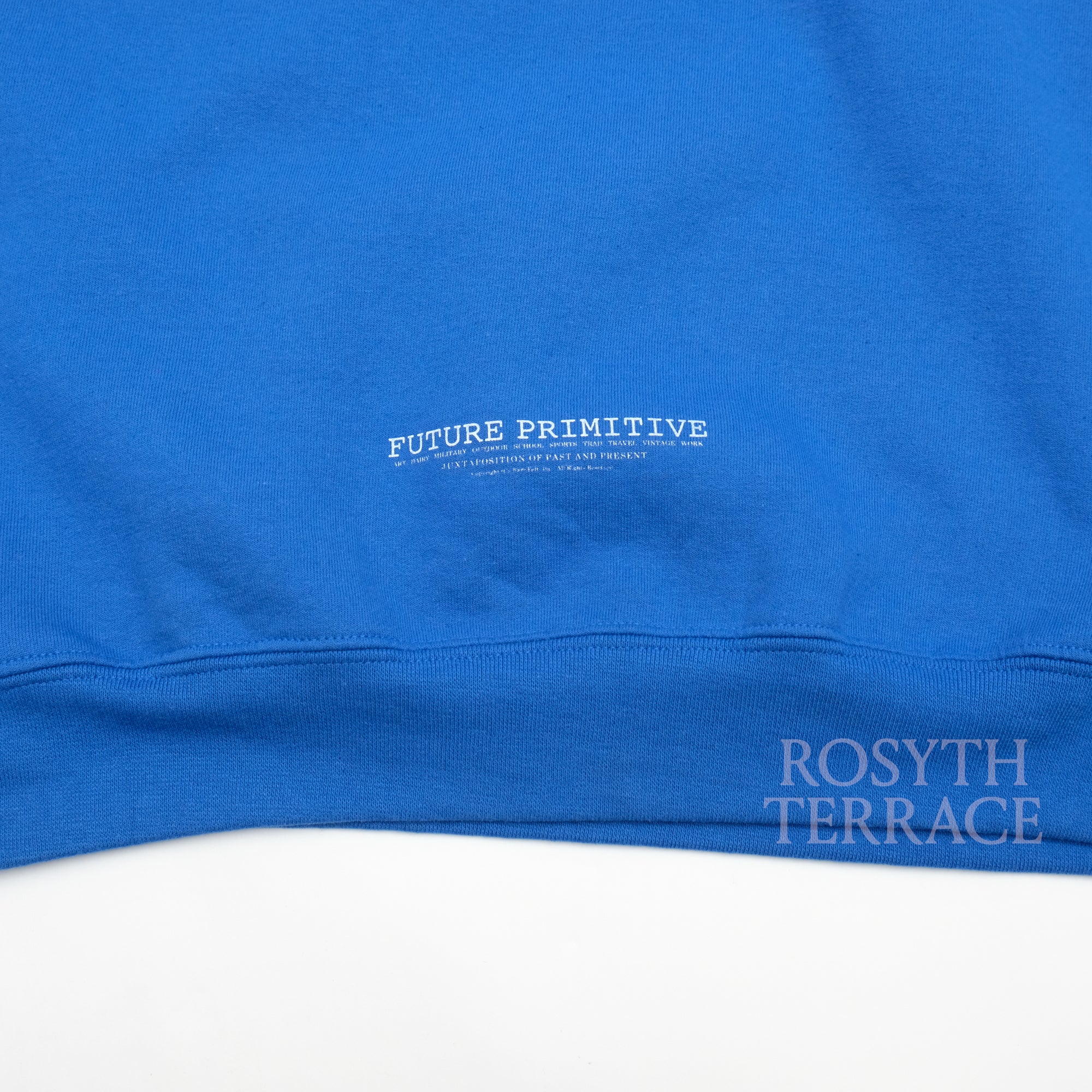 【FUTURE PRIMITIVE / FP D-V CREW (ROYAL BLUE) / SIZE L】