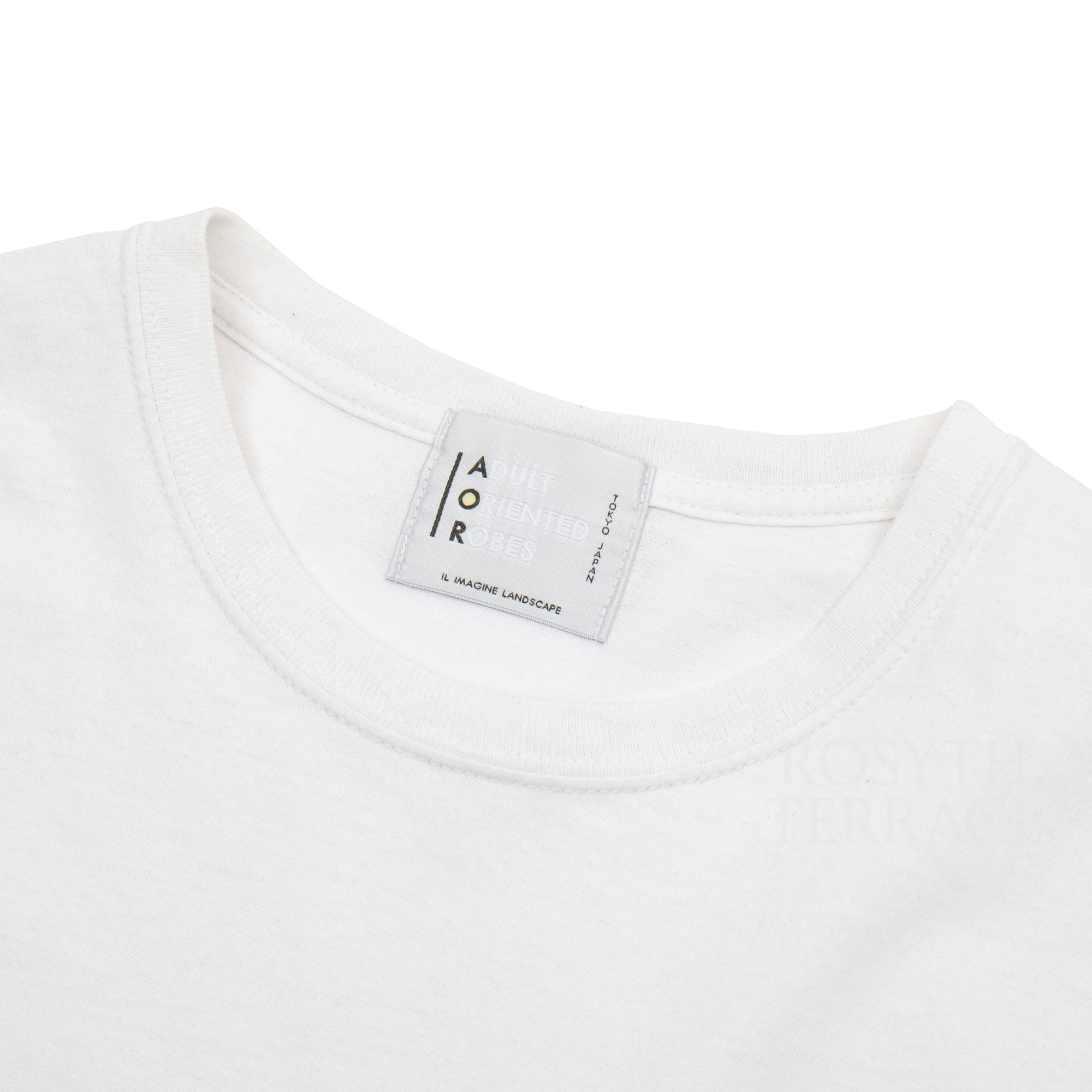 【ADULT ORIENTED RECORDS / 2022 SHORT SLEEVE TEE / XXL】