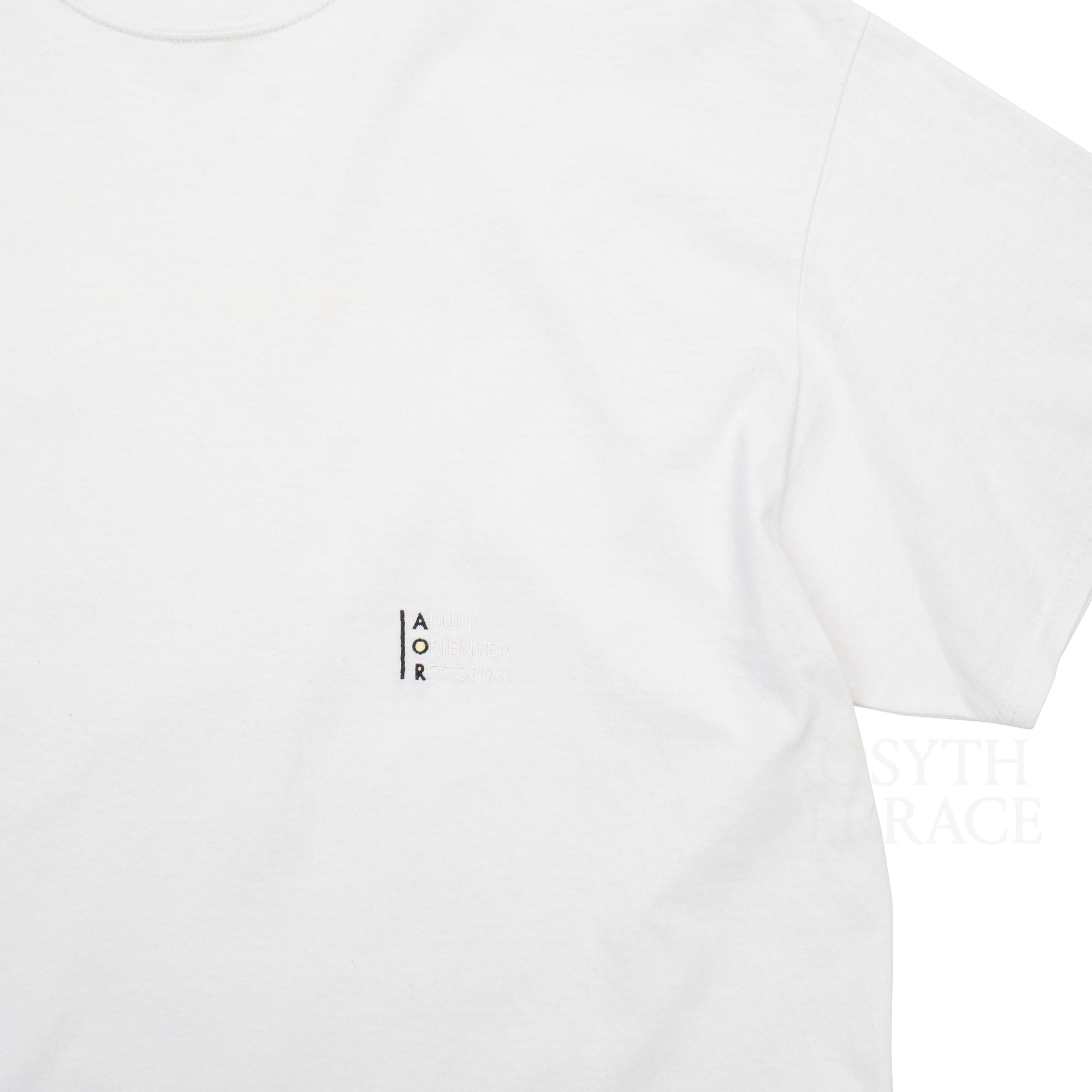 【ADULT ORIENTED RECORDS / 2022 SHORT SLEEVE TEE / XXL】