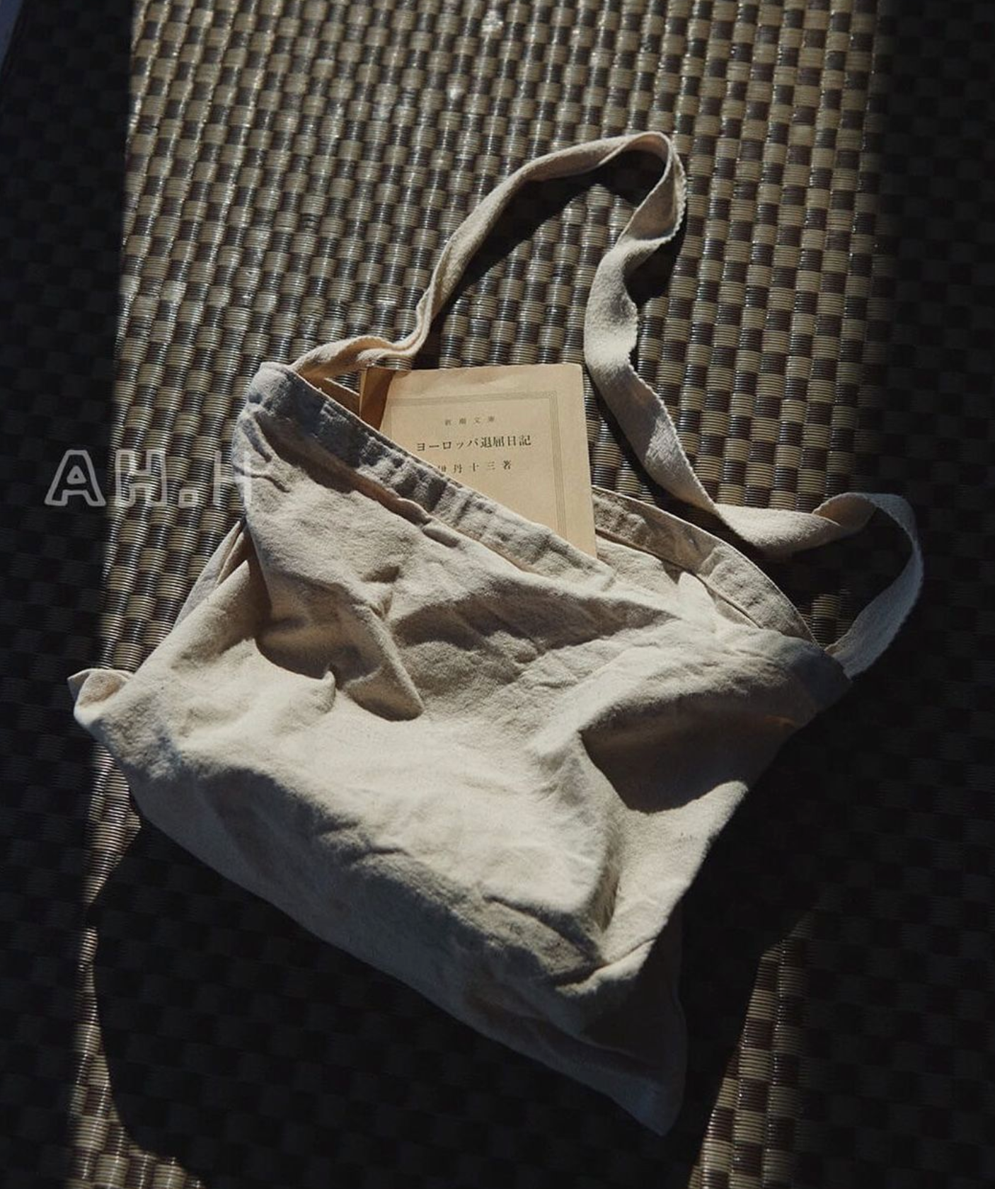 【Q-TEES / HEAVY CANVAS SMALL MESSENGER / OS】