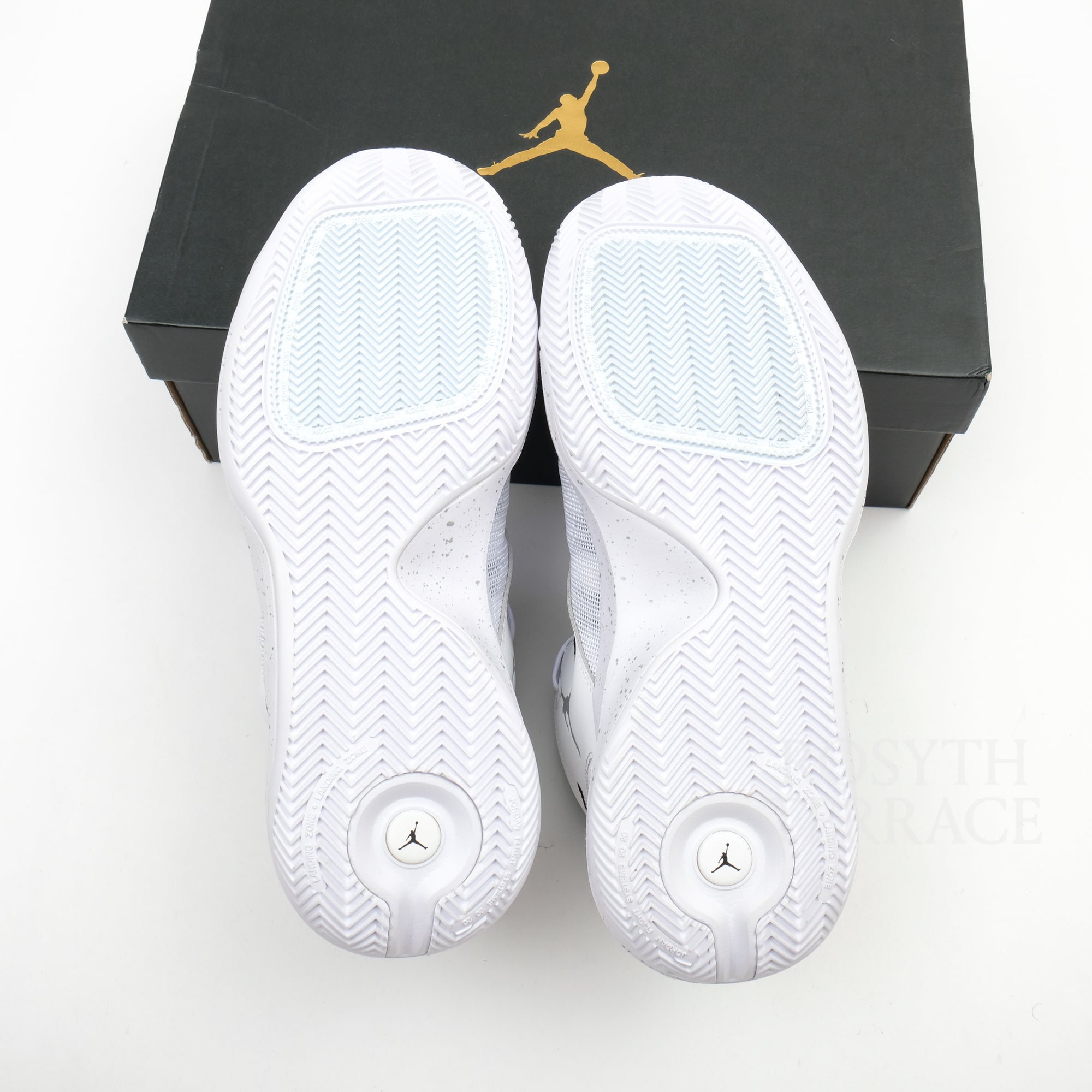 【NIKE JORDAN / JUMPMAN 2020 / US10】