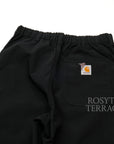 【Carhartt WIP x INVINCIBLE / REMOVED POCKET DOUBLE KNEE PANTS / SIZE M】