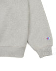 【Champion for BEAMS by TRIPSTER INC. / MESH PANEL CREW SWEAT / SIZE XL】