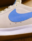 【NIKE SB / ZOOM BLAZER LOW GT / US 10】