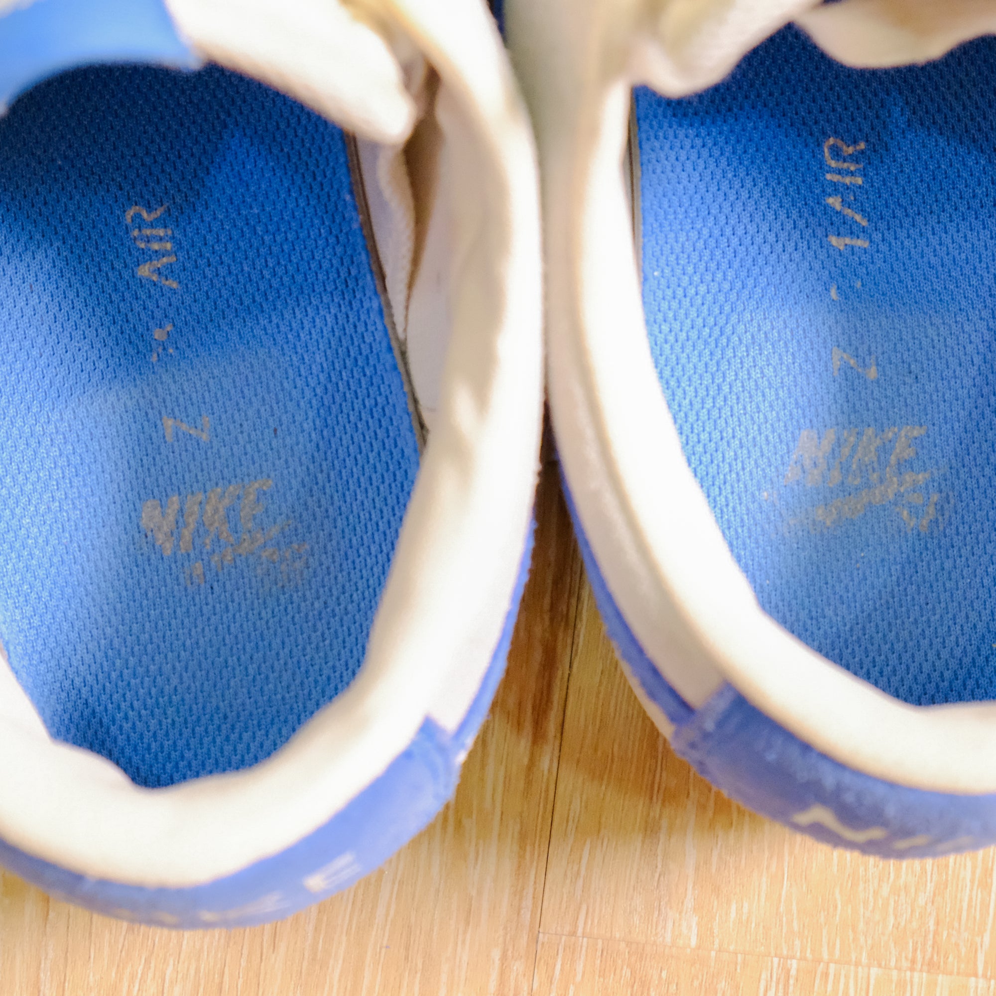 【NIKE SB / ZOOM BLAZER LOW GT / US 10】